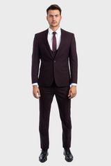 mens burgundy plaid suit 