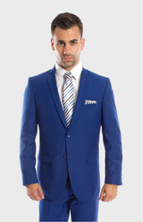 Two Button Blue Slim Fit Suit